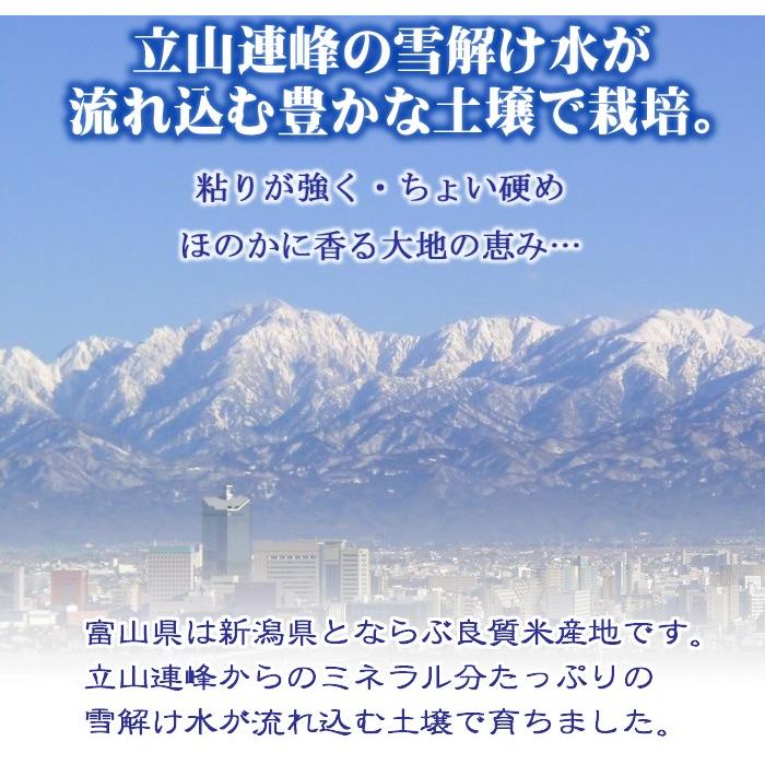 新米 コシヒカリ 令和5年産 富山県産 白米 10kg