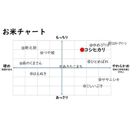 ふるさと納税 令和5年産新米コシヒカリ 10kg・新之助 10kg（白米 計20kg） [G429] 新潟県柏崎市