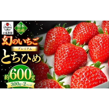 ふるさと納税 幻のイチゴ とちひめ 600g 栃木県真岡市