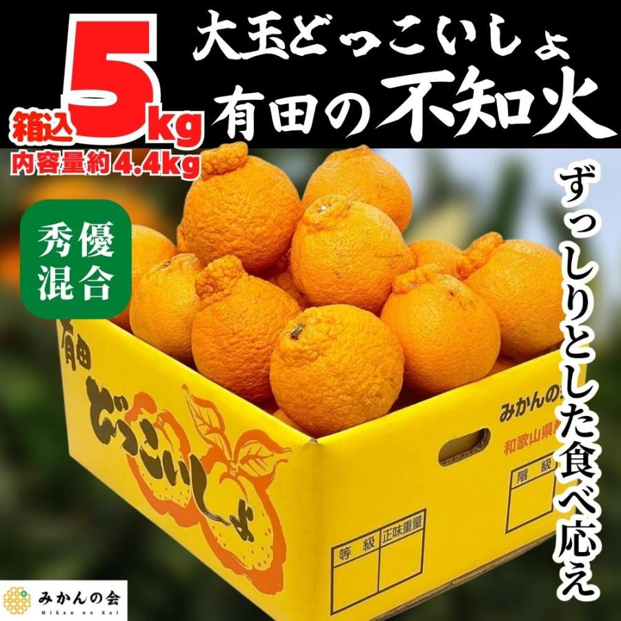 不知火 (しらぬい) 大玉 どっこいしょ 5kg (内容量約 4.4kg)  秀品 優品 混合 和歌山県産 産地直送 