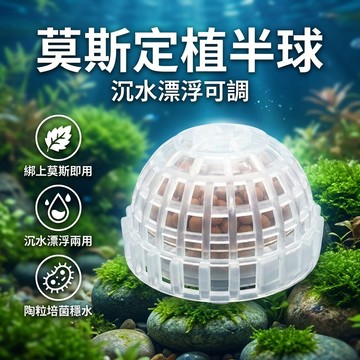 【台灣現貨】 莫斯定值半球 水草固定器 MOSS免綁莫絲定植 莫斯半球組合懸浮