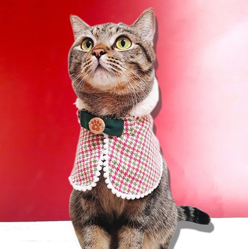 主子賣萌-繽紛聖誕系列-聖誕斗篷(草綠)