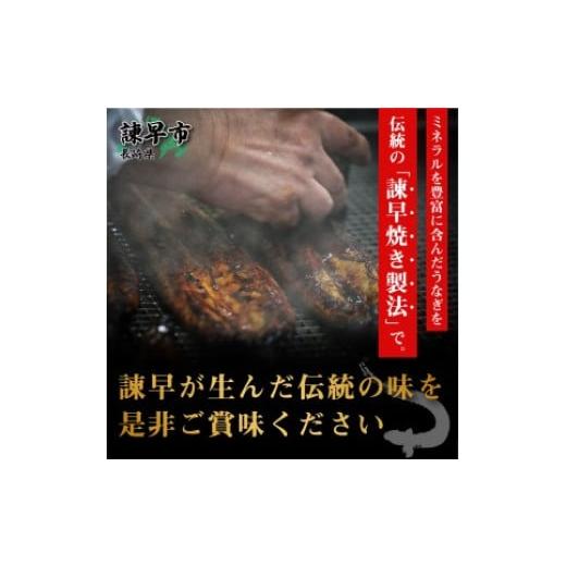 ふるさと納税 長崎県 諫早市 うなぎ蒲焼2尾