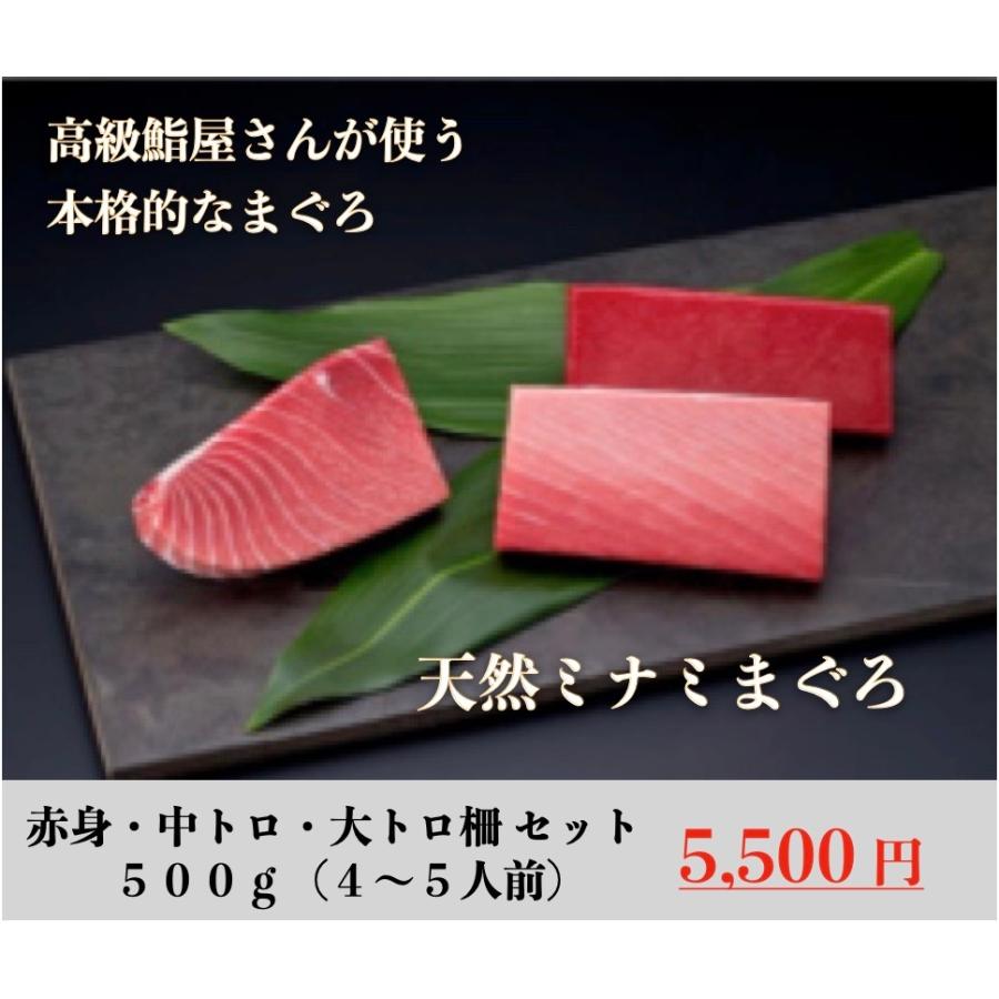 天然ミナミマグロ柵　LINEショッピング　赤身・中トロ・大トロ　セット（500g）