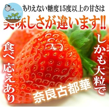 🍓【夢幻逸品 玩家必收】日本高級草莓種子任選 古都華/淡雪/天使白/甘王等 稀有色白草莓 自種無農藥 陽台盆栽可種