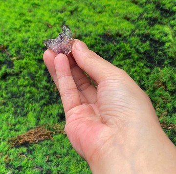 能量擺飾-天然可愛自由翅膀超七原石 療癒 旺姻緣 財運水晶