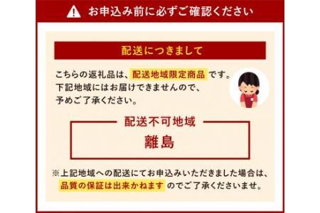 福岡県 とんこつ ラーメン 6食×2種 計12食入り 食べ比べ