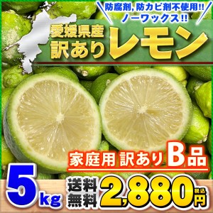 訳あり レモンＢ品 5kg 愛媛県産 サイズおまかせ 家庭用 訳あり 送料無料 箱買い 5キロ