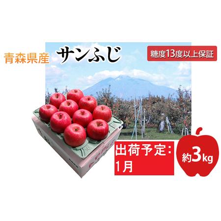 ふるさと納税 1月  サンふじりんご「特A」約3kg 糖度13度以上(8〜10玉程度）  青森県平川市