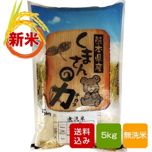 くまさんの力 無洗米 5kg 熊本県産 令和4年産 米 コメ こめ