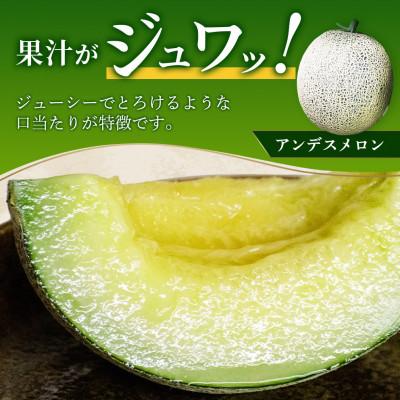 ふるさと納税 多良木町 熊本県産 ホームランメロン アンデスメロン 食べ比べ 計5玉 約5kg