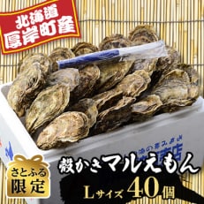 厚岸産マルえもんLサイズ　40個セット