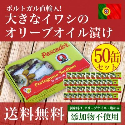 大きなイワシのオリーブオイル漬け125g 50個セット