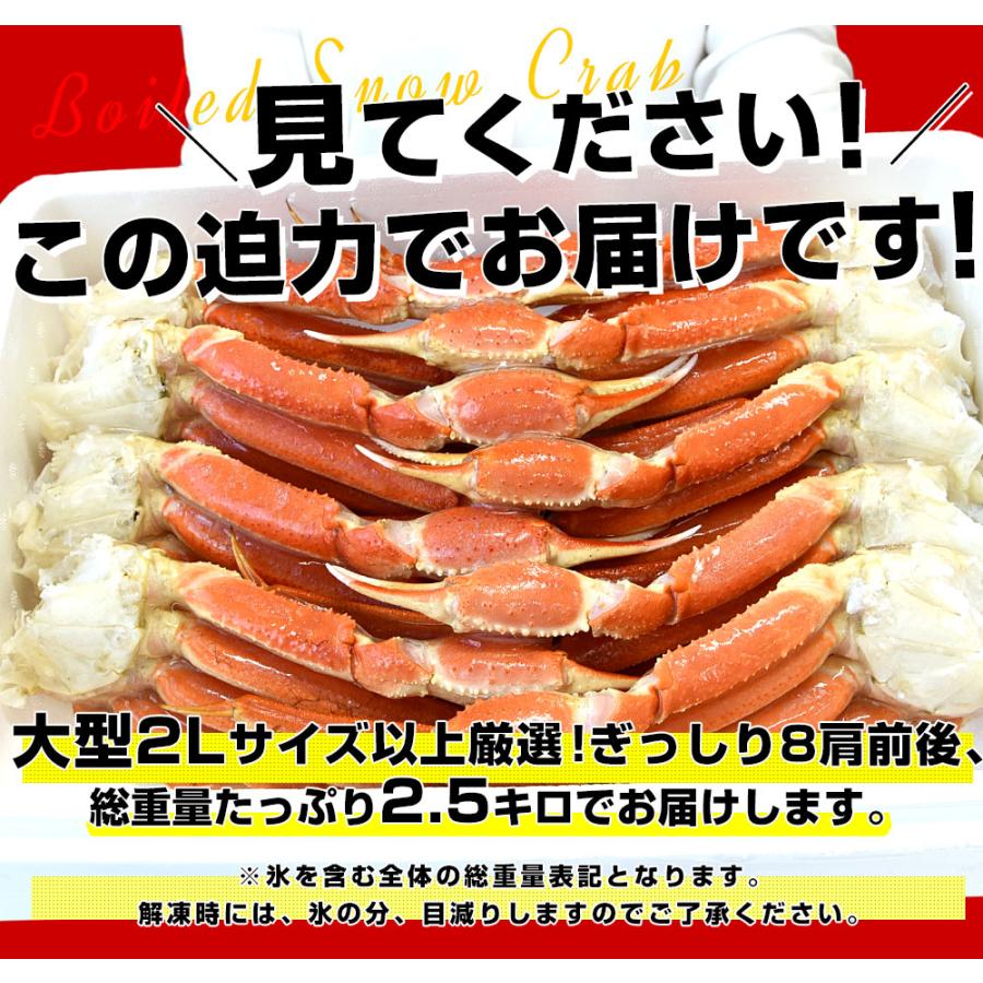 北海道より直送 北海道加工 「ボイル本ズワイガニ」 総重量2.5キロ(8肩前後) 2Lサイズ以上 送料無料　カニ ズワイ ズワイガニ ズワイ蟹 かに カニ脚 ギフト