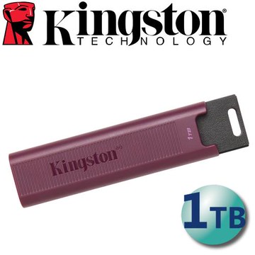 Kingston 金士頓 1TB 1000MB/s DataTraveler MAX Type-A USB3.2 隨身碟 DTMAXA/1T