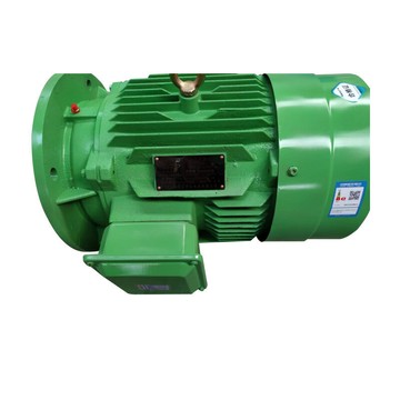 國標全銅三相異步電動機750kw高效率380v變頻調速臥式交流電機[DD2610001]