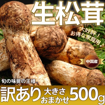 松茸 約150g 国産松茸 石川・長野産 ご家庭用 送料無料 食品 | LINE