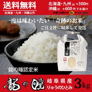 新米 龍の瞳 3kg 岐阜県産 令和5年産米 白米 ご注文後に精米・発送 送料無料（一部地域除く）