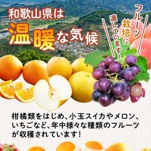 ふるさと納税 フルーツ王国和歌山のフルーツセット 和歌山県御坊市