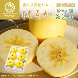 [予約 2023年 12月1日-12月31日の納品] はるか 約2kg 5-6玉 大玉 岩手県産他 希少品種 高糖度 甘い 林檎用 化粧箱 りんご 冬ギフト お歳