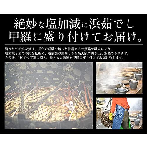 港ダイニングしおそう 甲羅盛りセット極 【 越前産ズワイガニ 中サイズ×1個(甲羅横幅 約11cm) ＆ セイコガニ 小サイズ 70g前後×2個(甲羅