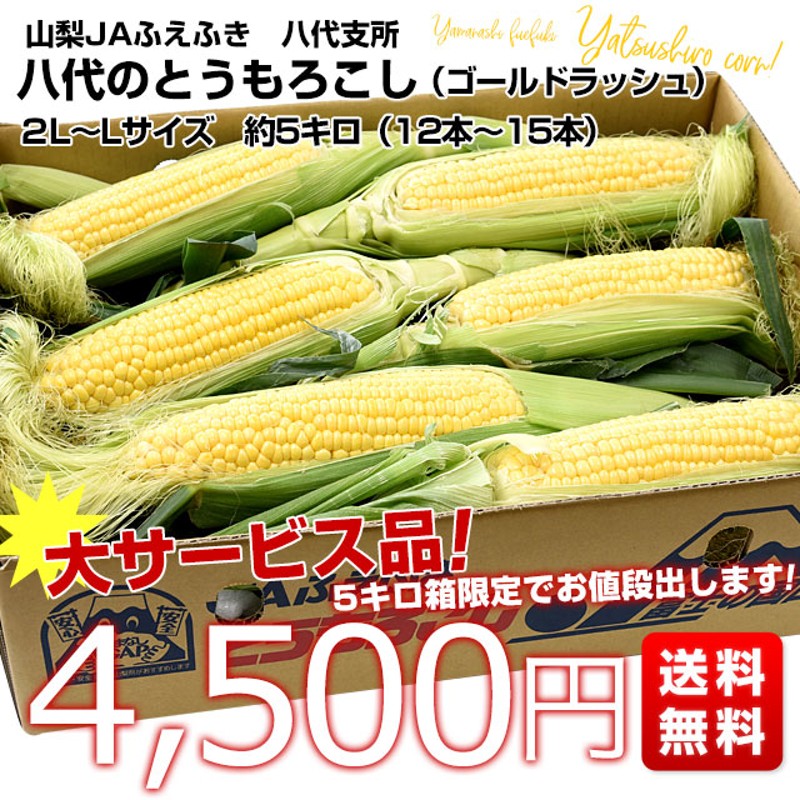 ⑩山梨県産 とうもろこし ゴールドラッシュ 2L 12本