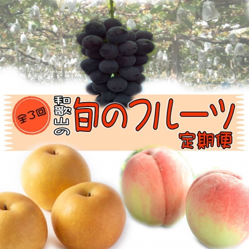 和歌山の旬のフルーツ定期便！人気の桃・ピオーネ・梨をお届け♪