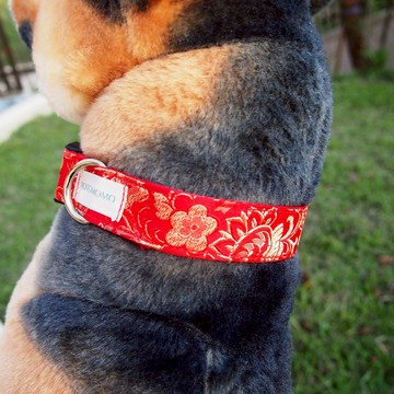 繡金繁花款 犬用項圈