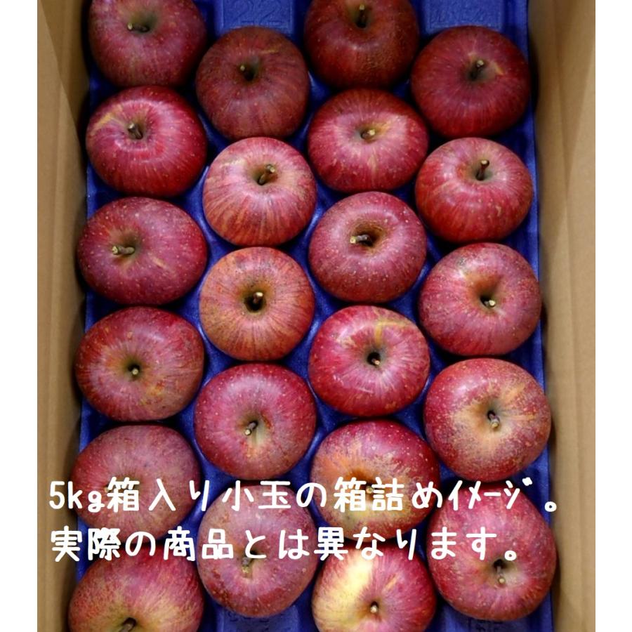 サンふじレギュラー小玉20〜22個入（箱込5kg）12月以降発送