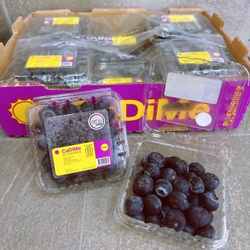 【帕查嬤嬤】🫐秘魯 香甜新品種 藍莓 18mm 125g🫐｜秘魯藍莓禮盒