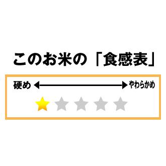 米2kg お米  精米 岐阜県産 美濃ハツシモ 5年産 特別栽培米