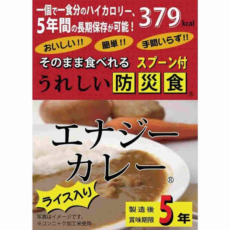 うれしい防災食 エナジーカレー 190g