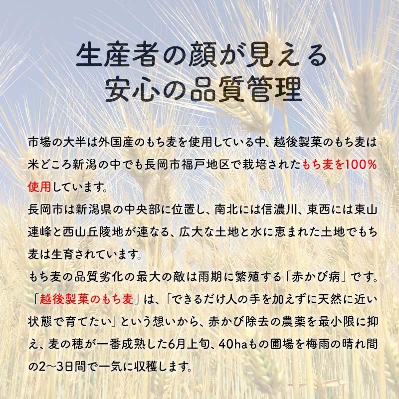 新潟県産はねうまもち(もち麦)　500g