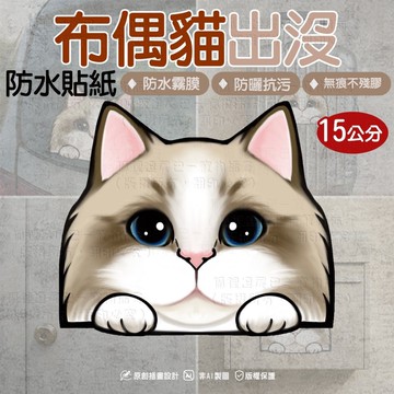 狐狸逗尾巴防水貼紙 布偶貓出沒貼紙 布偶貓 布偶貓出沒貼紙 不殘膠 防曬防水 防水貼紙 q圖 布偶貓 露營貼 行李貼