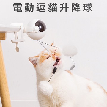 電動逗貓升降球/貓玩具