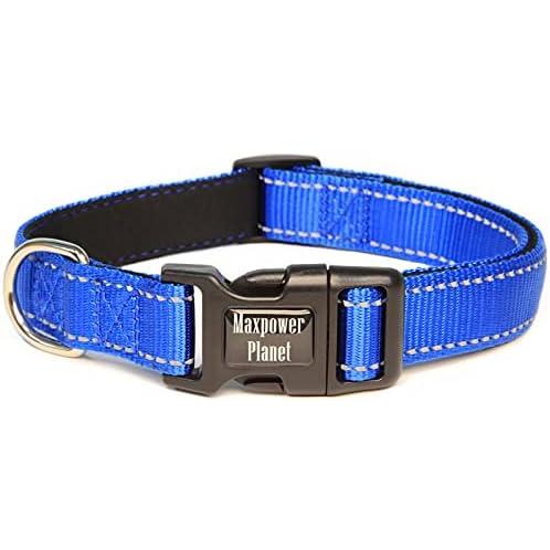 Planet store dog collar