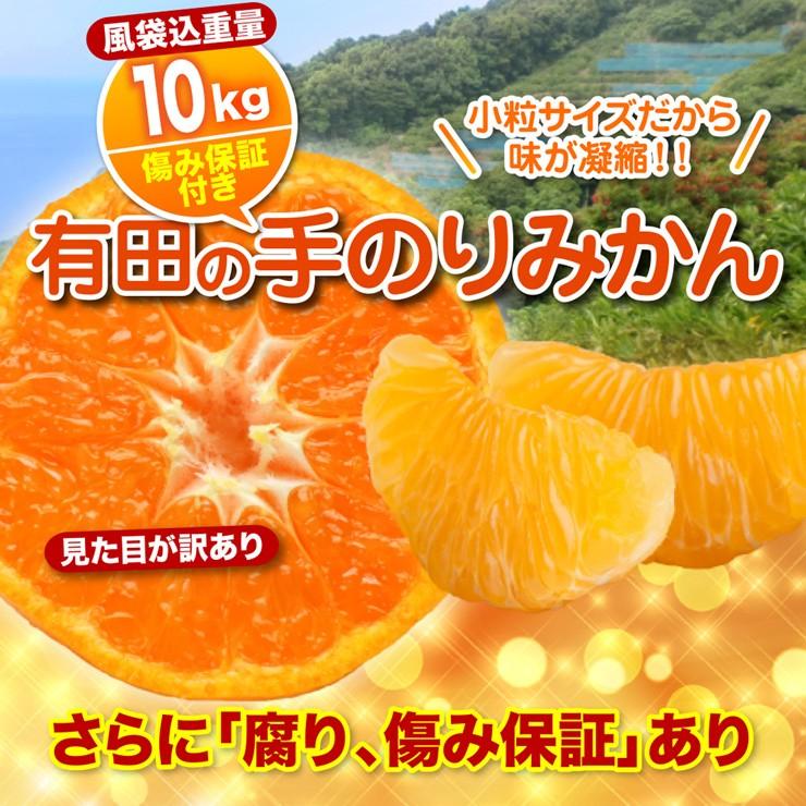 みかん 小粒 訳あり 有田 こつぶみかん 蜜柑 ミカン 送料無料 10キロ 和歌山 産地直送 10kg 箱買い 自宅用 糖度 安い 家庭用 小さい 小さめ