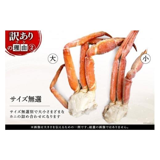 ふるさと納税 宮城県 気仙沼市 カニ 訳あり ボイルずわいがに 肩付き脚 総重量1kg ／ カニパラダイス ／ 宮城県 気仙沼市 [20562923] かに ズワイガニ ずわい…