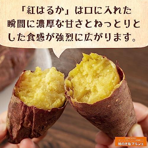 柿の木坂マルシェ さつまいも 令和5年産 新物 紅はるか 茨城県産 千葉県産 A品Mサイズ (3kg)