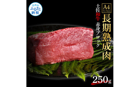 天下味 エイジング工法 熟成肉 土佐和牛 特選 赤身ブロック 250g エイジングビーフ 国産 牛肉 土佐 和牛 冷凍配送 真空パック お祝い 高知 芸西村 贈り物 贈答 ギフト