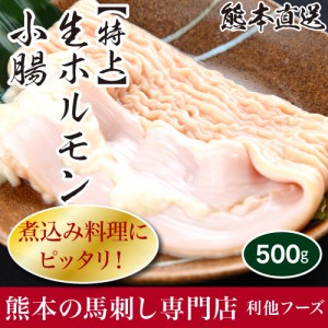 馬刺し 熊本  生ホルモン 小腸（約500g）   肉 馬肉 焼肉 利他フーズ 食べ物 お中元