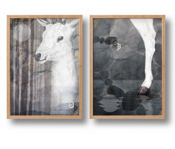 A Journey to Happiness: 逐夢築夢 臺灣特有白鹿傳說 明信片