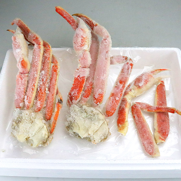 かに カニ 蟹 ズワイガニ 訳あり ボイル ずわい蟹 1kg   送料無料 グルメ 食品 お歳暮 ギフト 10%クーポン