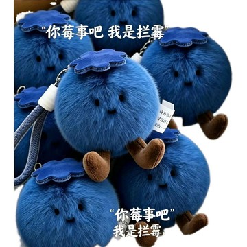 臺灣出🔥🔥小紅書同款藍莓黴運毛絨公仔玩偶擺件包包掛件鑰匙扣
