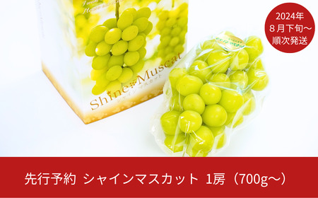 先行予約 シャインマスカット 1房(700g以上) [2024年発送予定] 新潟県