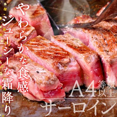 ふるさと納税 佐伯市 おおいた和牛 サーロインステーキ (計800g)