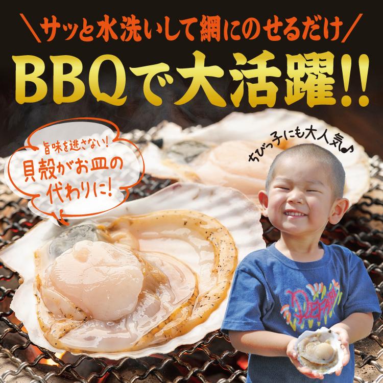 お歳暮 ホタテ 殻付き BBQ 国産 ホタテ貝 10枚（片貝 ほたて）ガンガン焼き にもオススメ♪