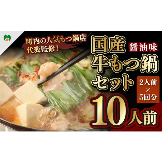 ふるさと納税 熊本県 美里町 国産牛もつ鍋セット(2人前×5回分) モツ鍋