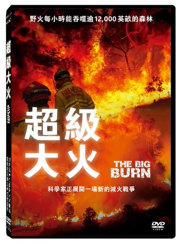 【停看聽音響唱片】【DVD】超級大火