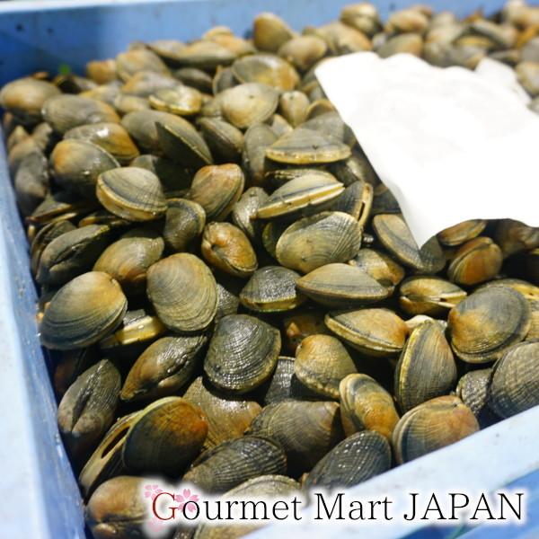 あさり 1kg 中サイズ(60個前後) あさりえもん 北海道厚岸産 お取り寄せ グルメ お歳暮 年末年始 お正月